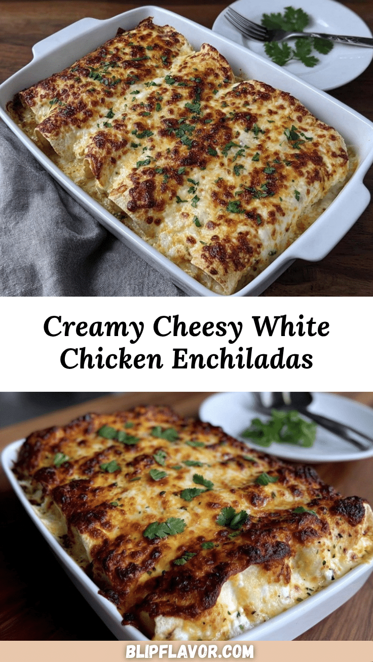 creamy white chicken enchiladas recipe